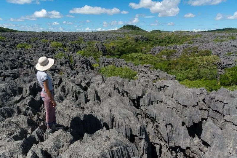 Northern Wonders — Lemurs, Tsingy & Islands