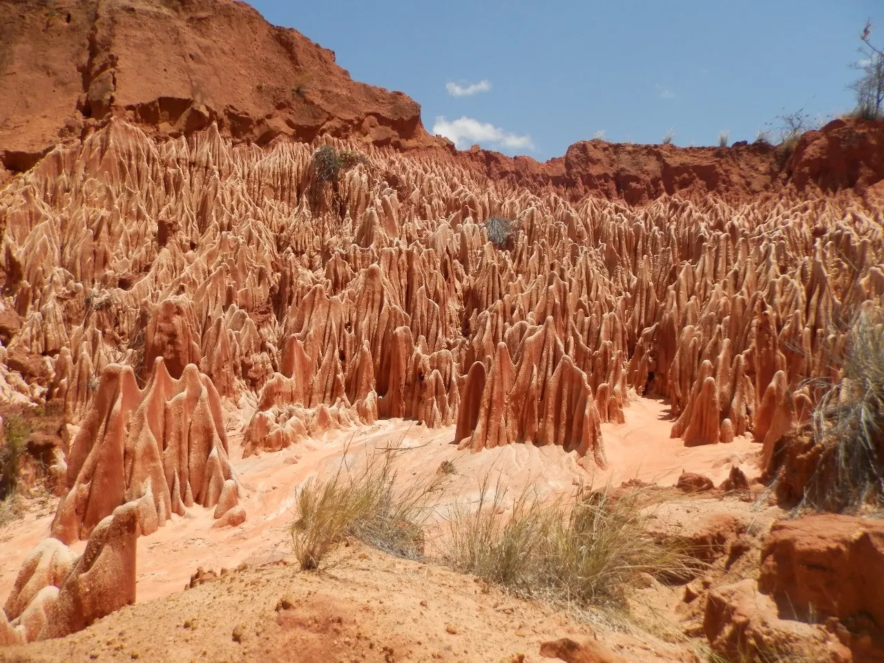 Northern Wonders — Lemurs, Tsingy & Islands · Diego Suarez · Montagne d'Ambre · Ankarana · Nosy Be