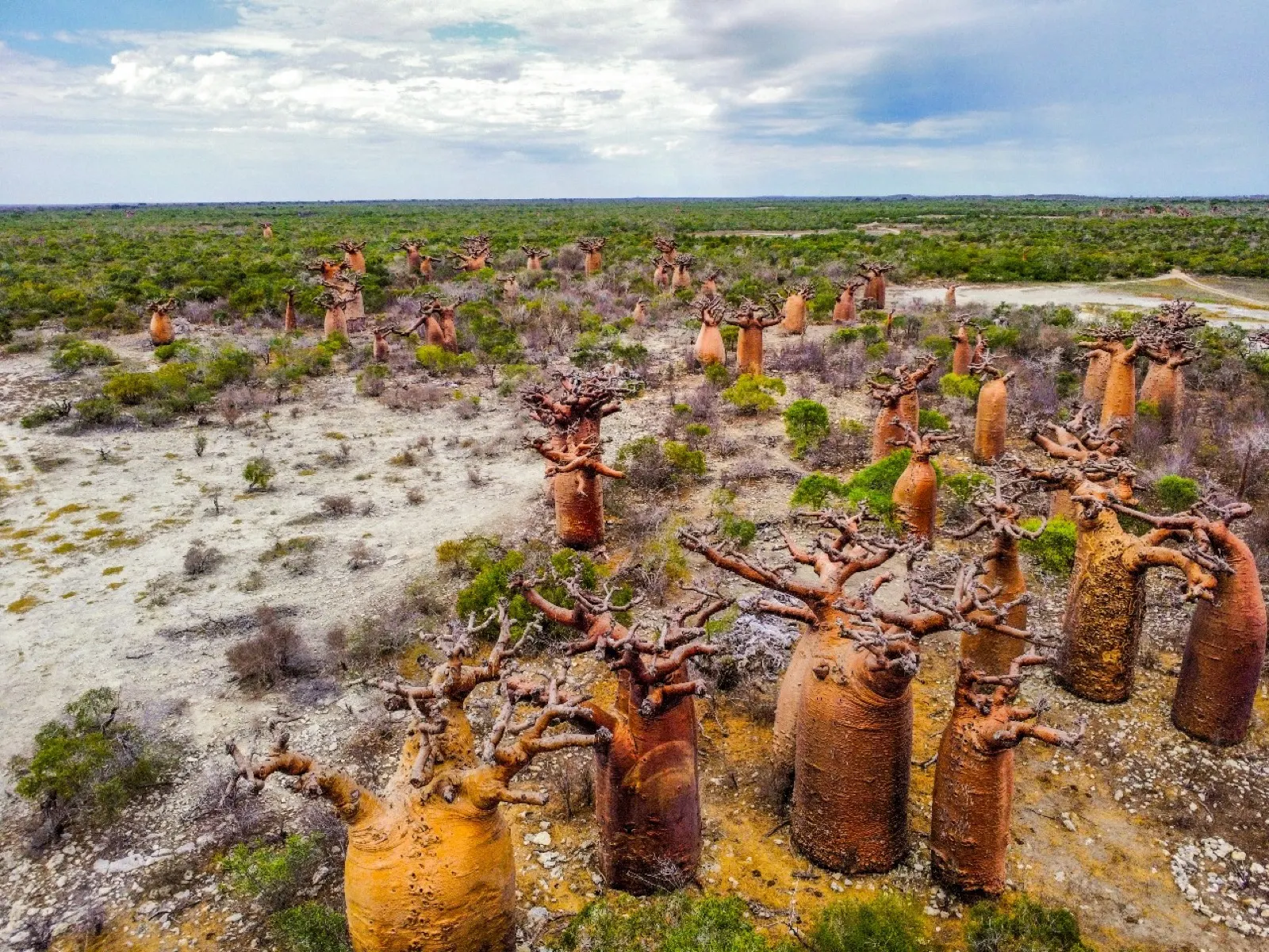 Madagascar Unveiled — Rivers, Baobabs & Wild Wonders