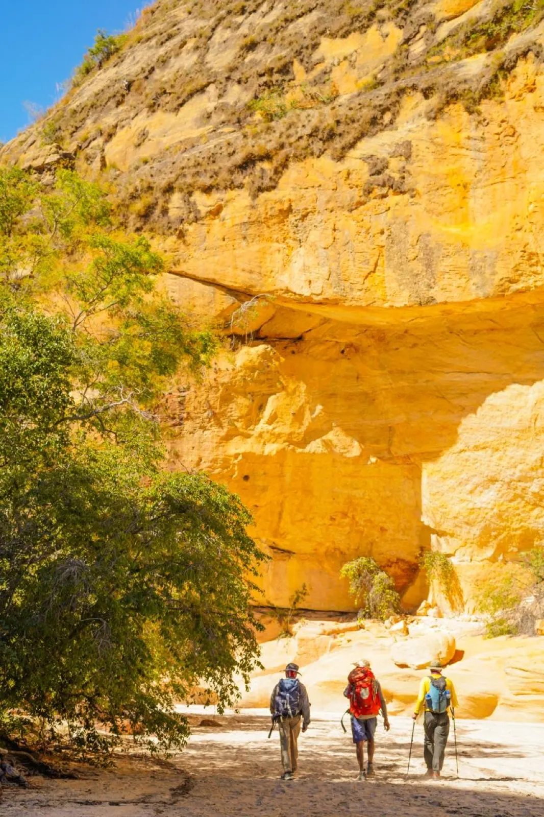 Ultimate Trekking — Peaks, Canyons & Hidden Wilderness